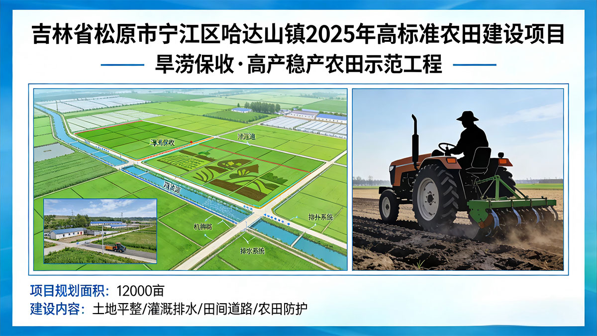 吉林省松原市宁江区哈达山镇2025年高标准农田建设项目检测、监理、施工